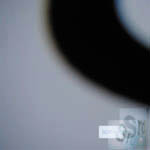 pfL_8 AOKI takamasa
